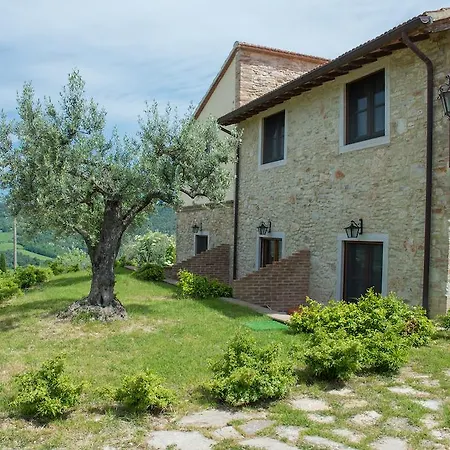La Lungavita San Terenziano