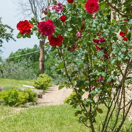 Farm stay La Lungavita